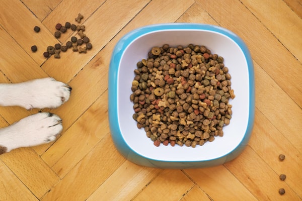 Alimentos balanceados para perros y gatos
