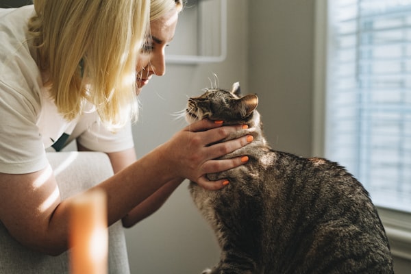 Vacunación de caninos y felinos